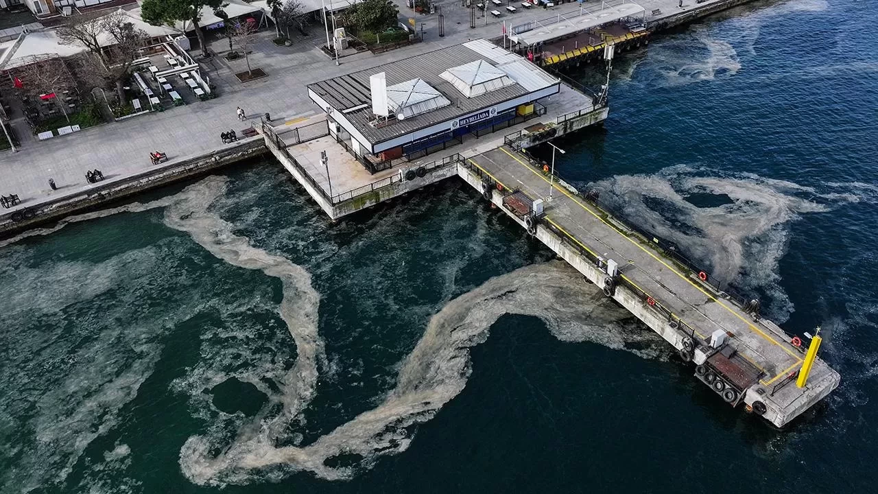 Güney Marmara'da balıkçılara müsilaj engeli