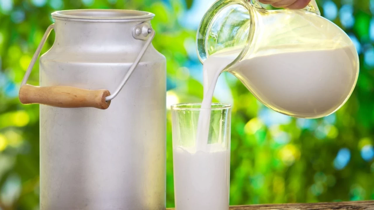 Bozuk süt içince ne olur, zehirler mi, öldürür mü?