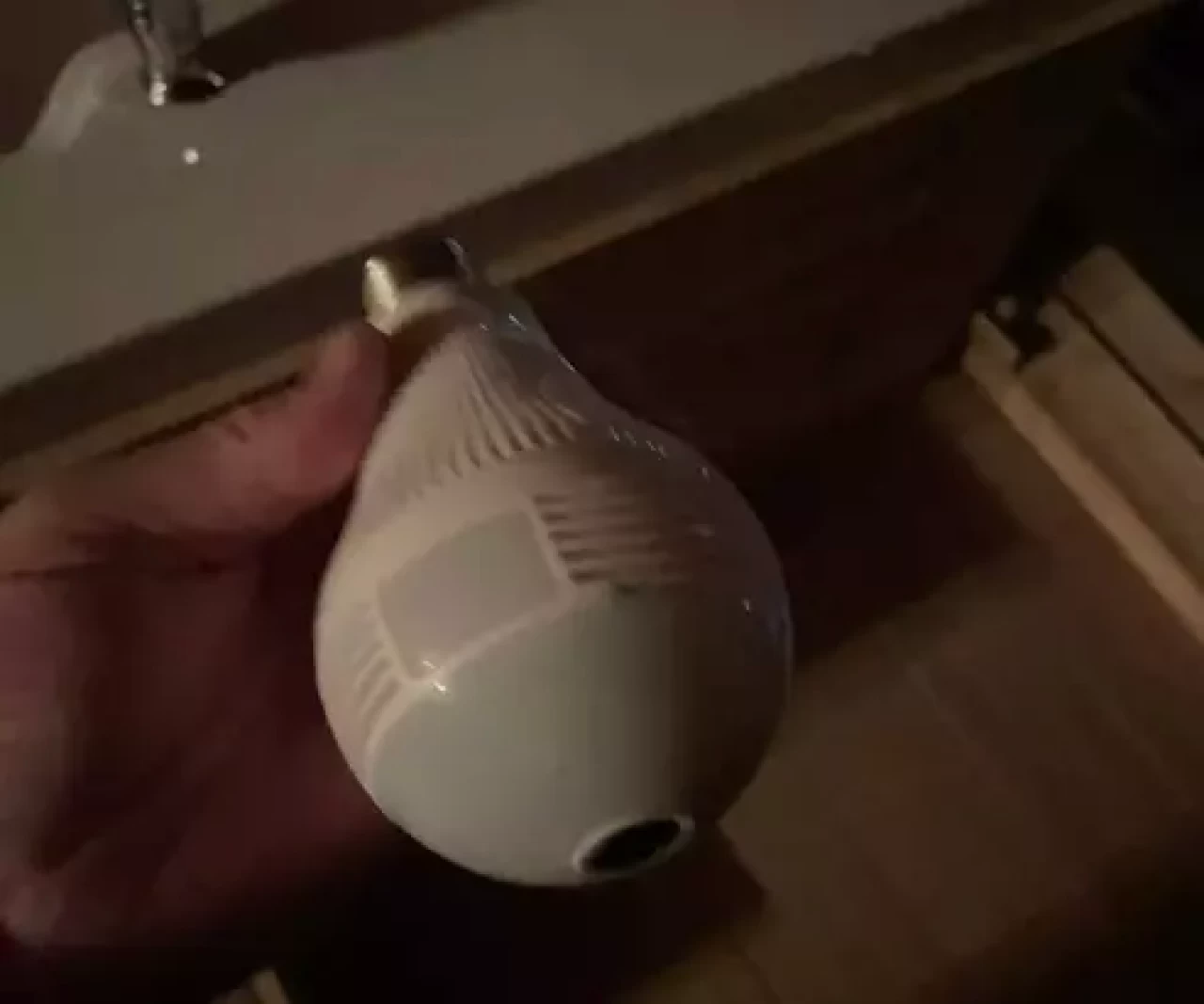 "Bungalovda gizli kamera" iddiasına ilişkin gelişme