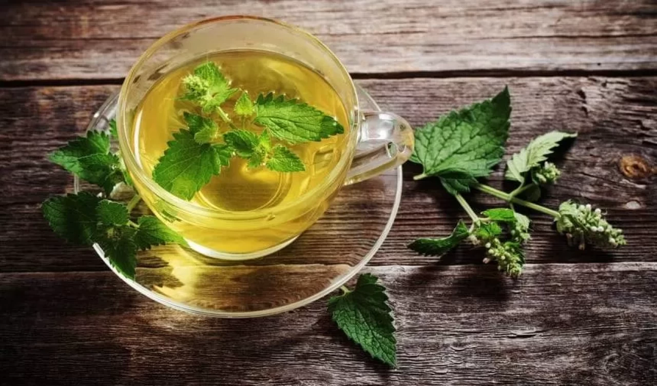 Soğuk algınlığına karşı nane çayı tarifi