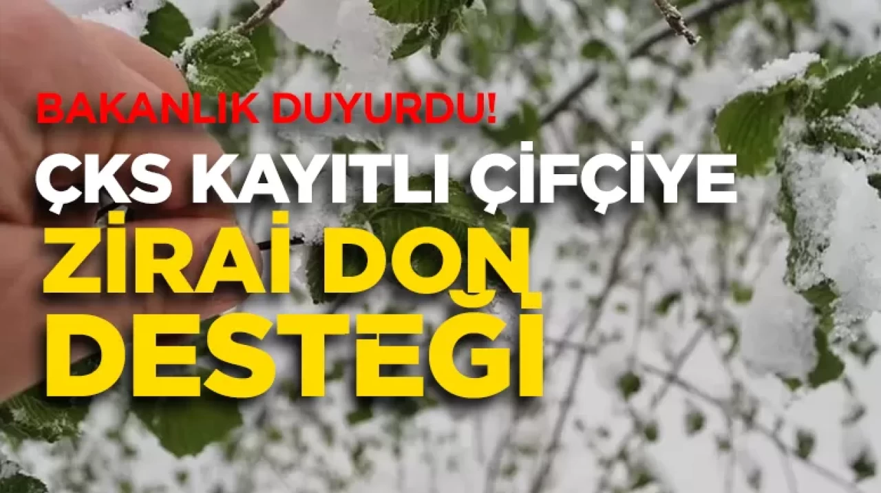 ÇKS kayıtlı çiftçiye zirai don desteği geliyor