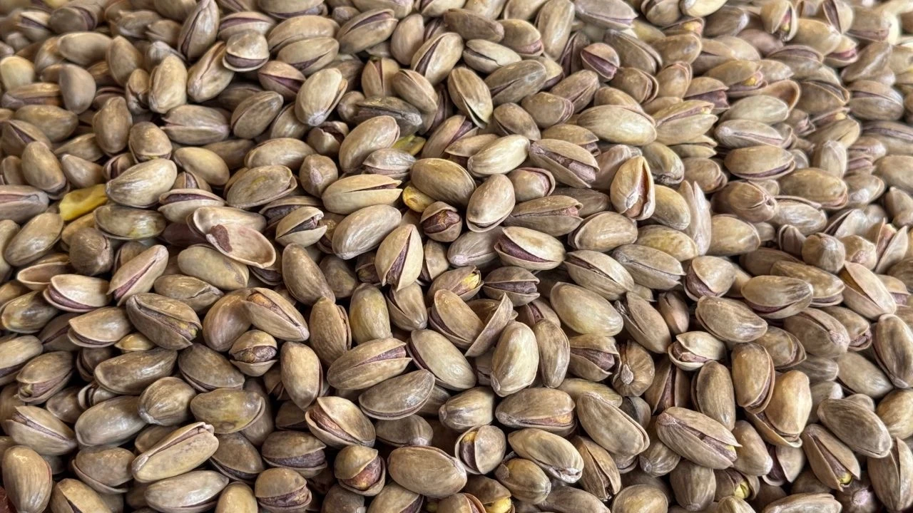 Türkiye yılın ilk üç ayında 59,7 milyon dolar fıstık ihraç etti