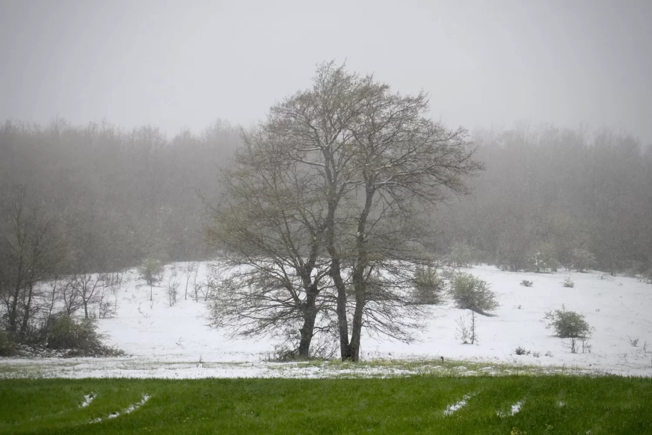 Samsun'un ilçelerinde sisle birlikte kar yağışı etkili oldu