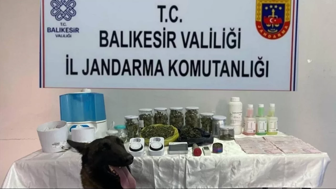 Jandarmadan zehir tacirlerine ve kaçakçılara büyük darbe