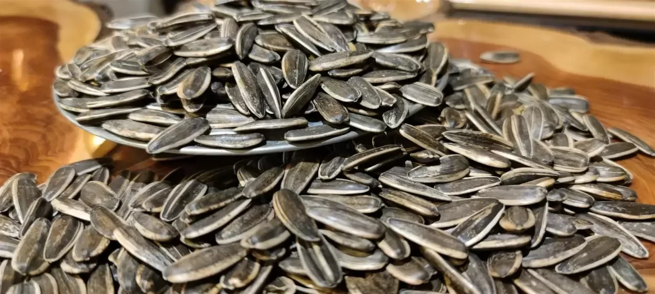 Çekirdek Kilo Aldırır Mı? Kavrulmuş Çekirdek Kilo Yapar Mı, Verdirir Mi?