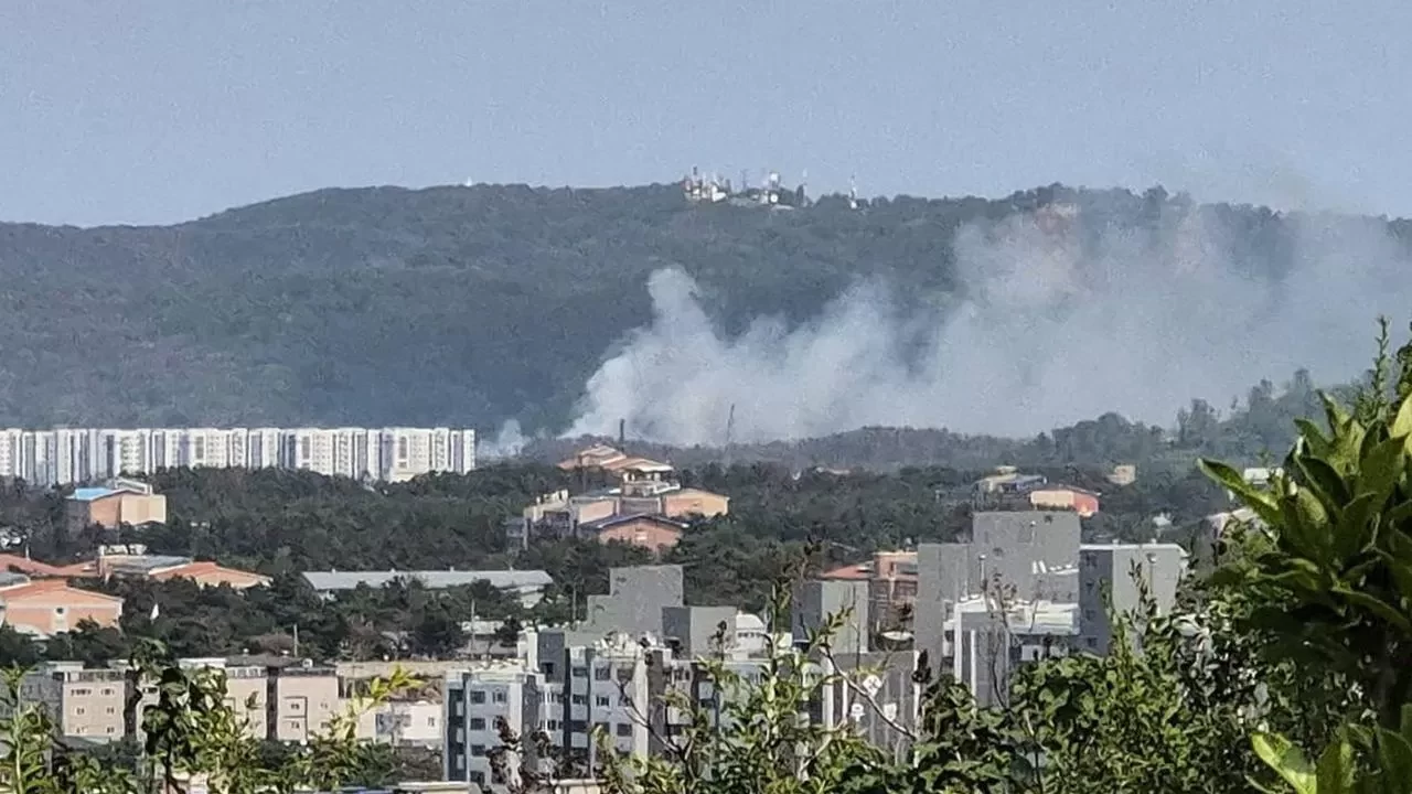 Güney Kore'de 4 kişiyi taşıyan askeri uçak düştü