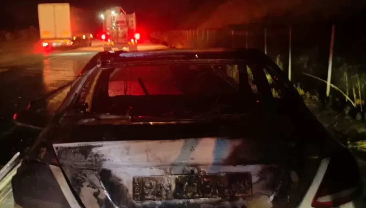 Adana'da seyir halindeki araç alev aldı