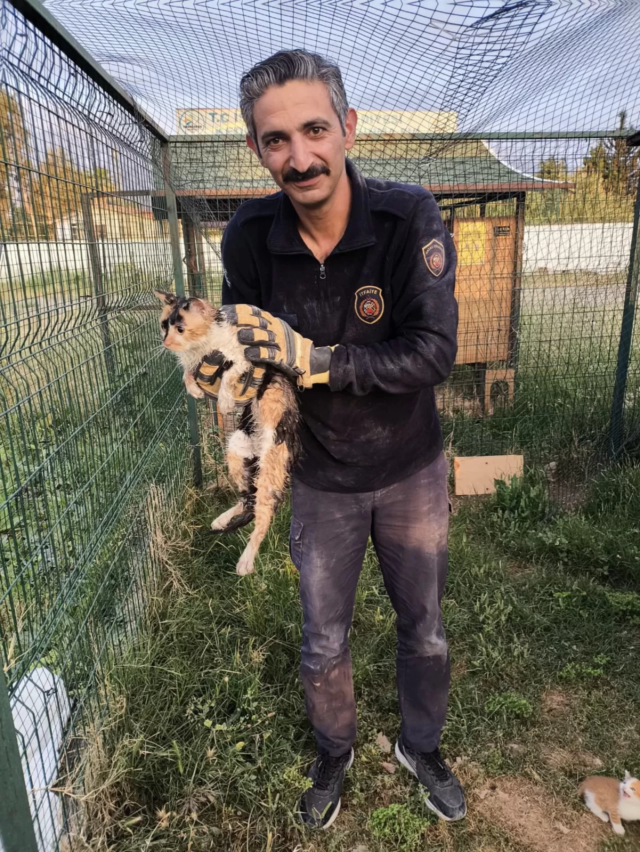 Kedi bina boşluğuna düştü, itfaiye kurtardı