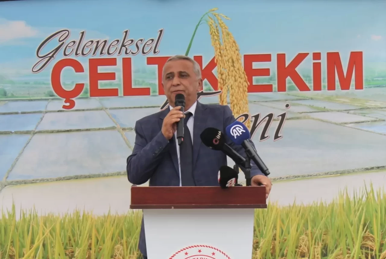 Bafra Ovası'nda çeltik ekimi başladı