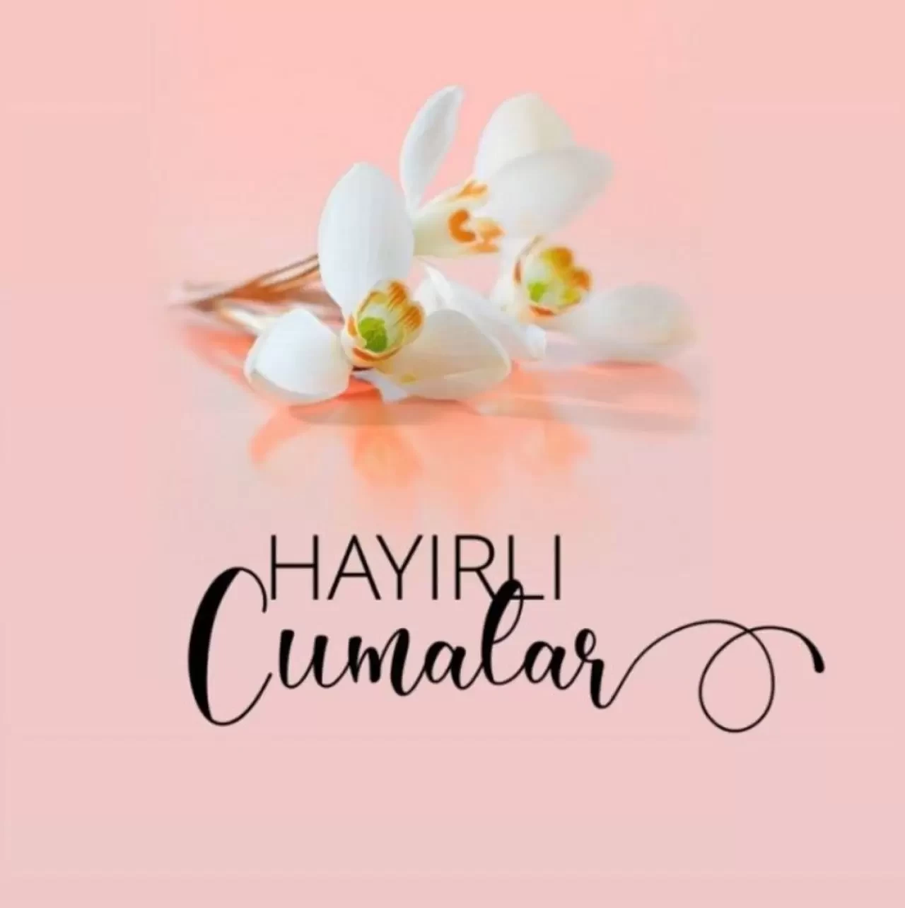 23 Mayıs 2025 En Güzel Cuma Mesajları: Ayetli, Hadisli, Anlamlı ve Dualı Cuma Mesajları