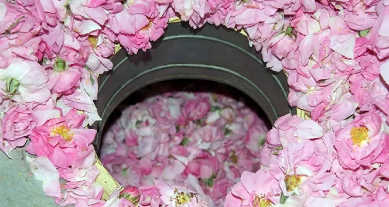 Taze güllerle evde gül suyu yapmanın püf noktaları