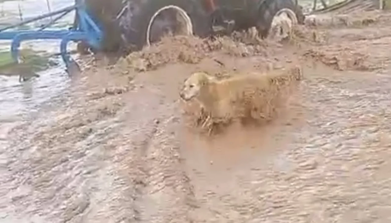 Sivas'ta sağanak sele neden oldu