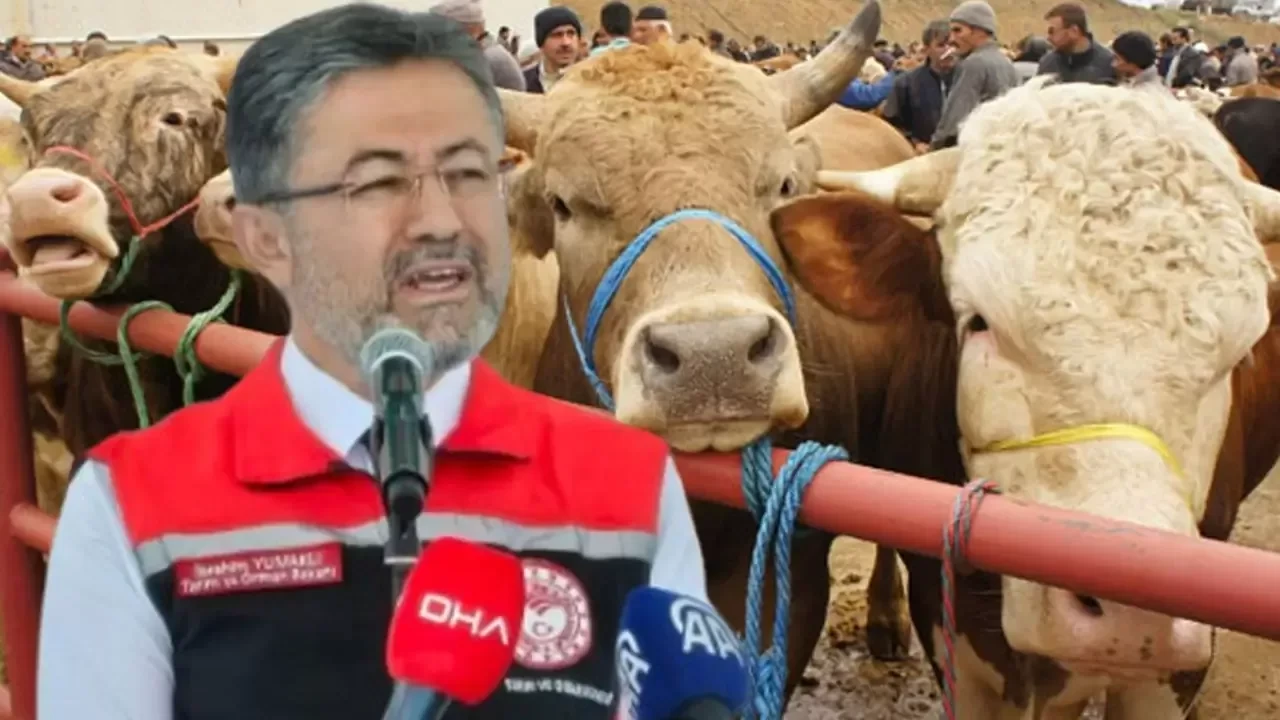 Bakan Yumaklı: Kurbanlık hayvan varlığımız yeterli düzeyde