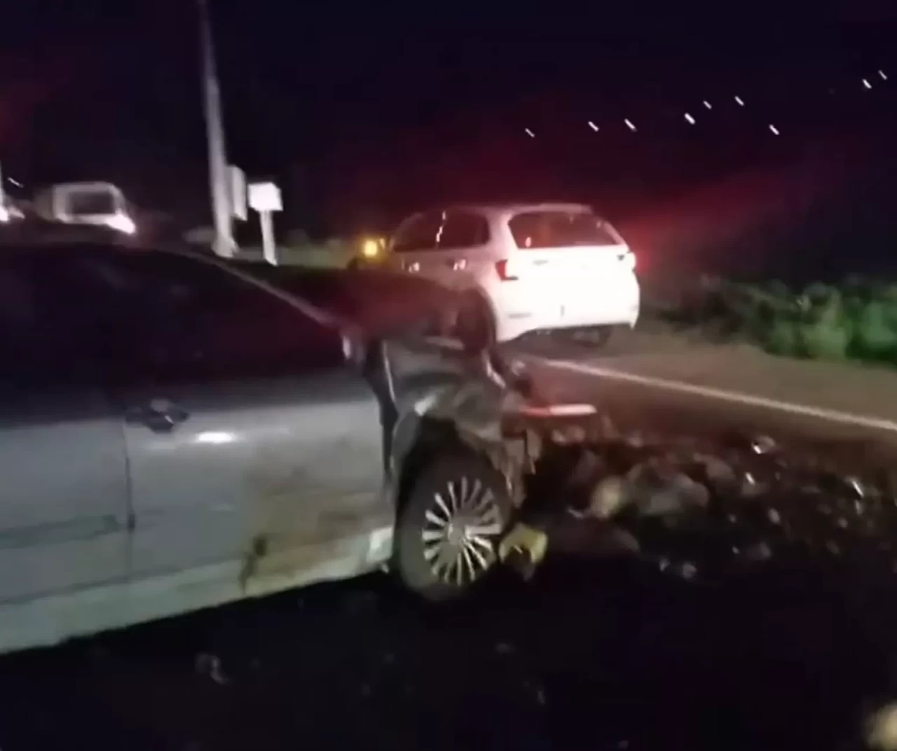 Iğdır'da yolun karşısına geçmeye çalışan hayvanlar telef oldu