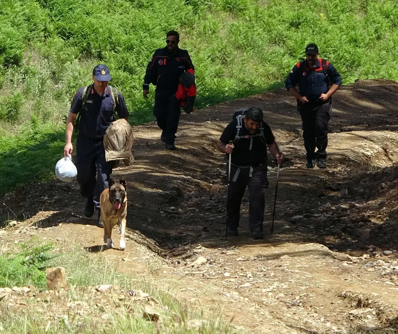 Çevre, Şehircilik ve İklim Değişikliği İl Müdür Yardımcısı yürüyüşte can verdi