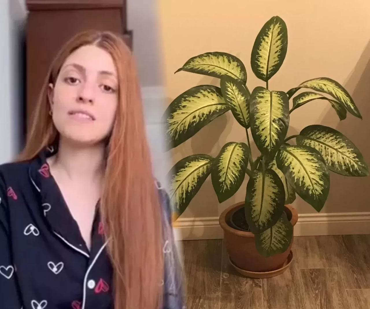 Kırılan dalını düzeltmek isterken ölümden döndü