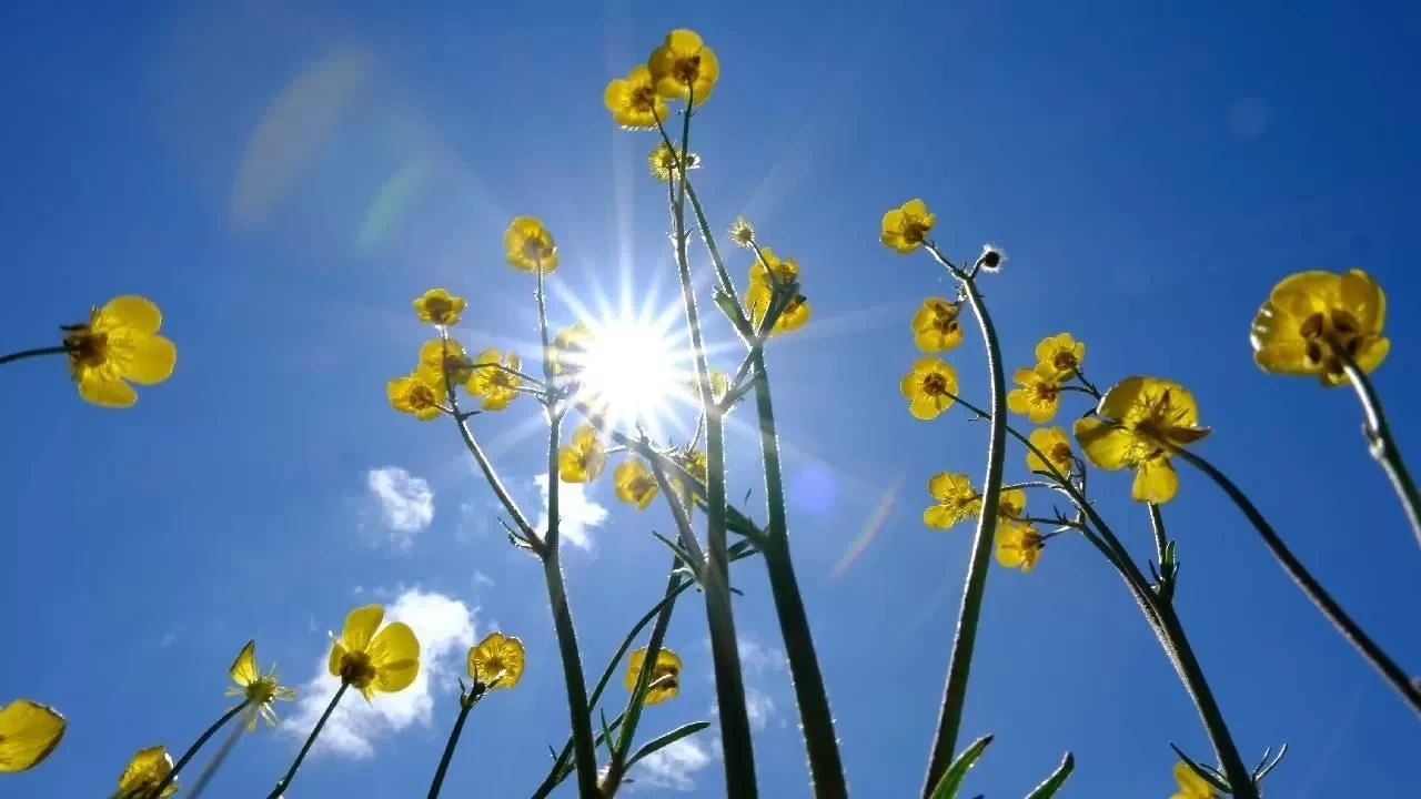 Yeni haftada hava nasıl olacak? İşte tahminler...