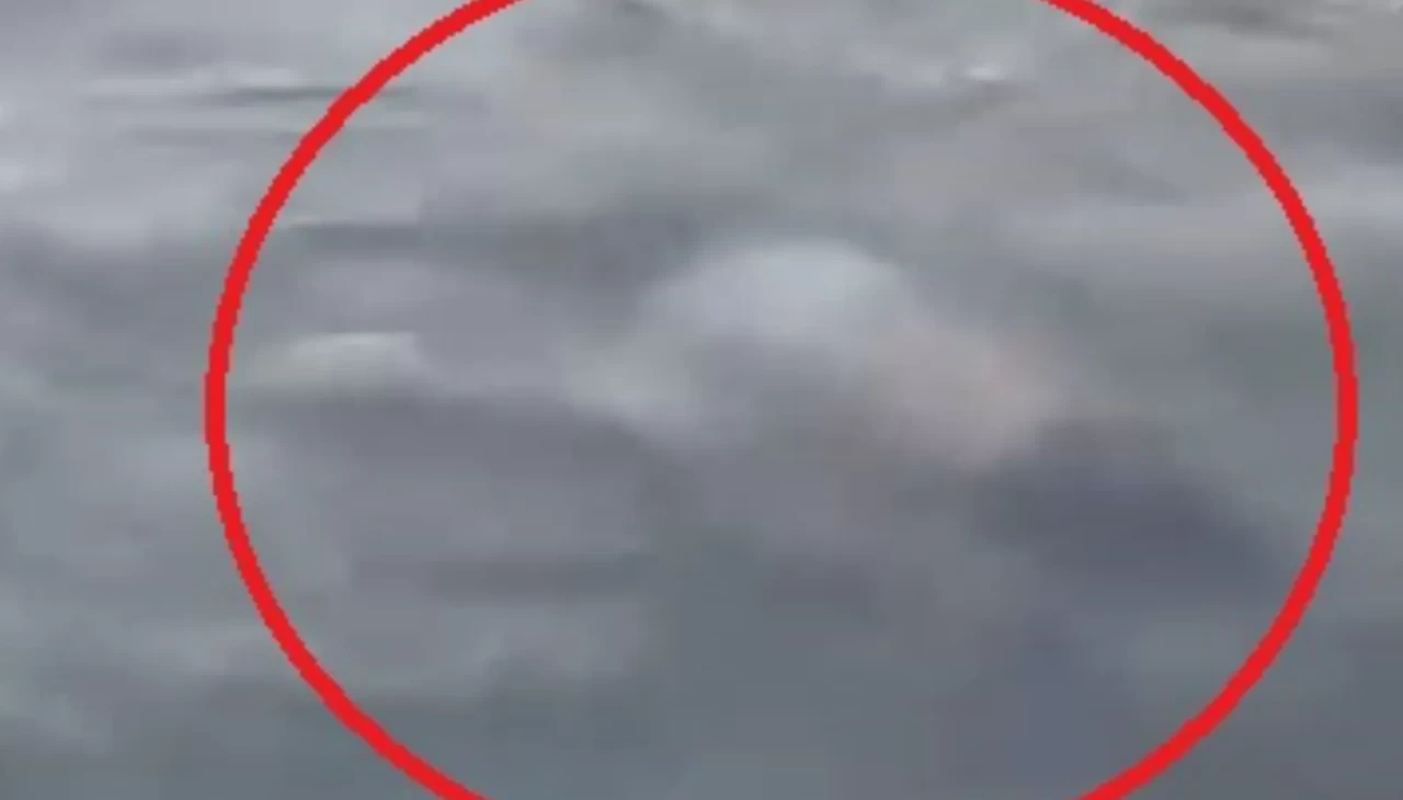 Adana'da sulama kanalında hareketsiz duran kişiyi çevredekiler kurtardı