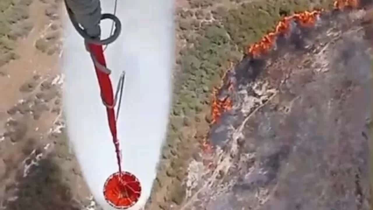 İzmir Foça'da makilik alanda orman yangını çıktı