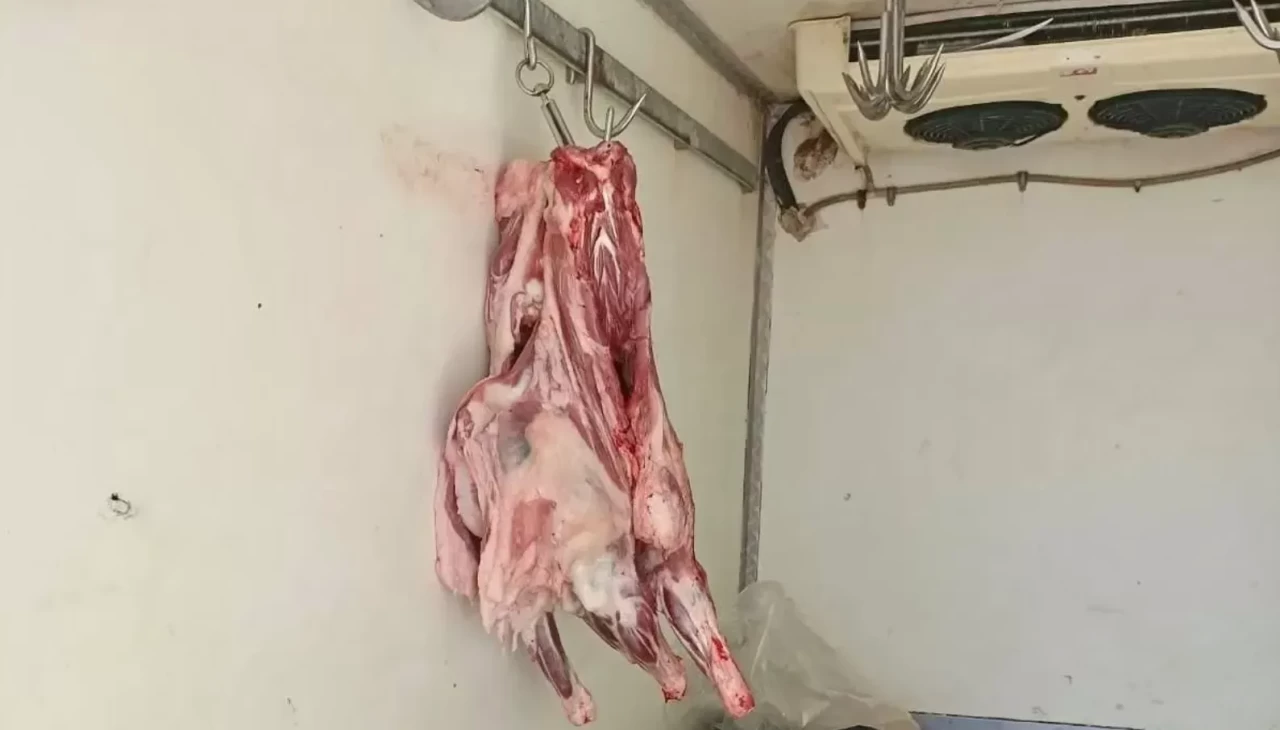 Hatay'da 34 kilogram bozuk et ele geçirildi