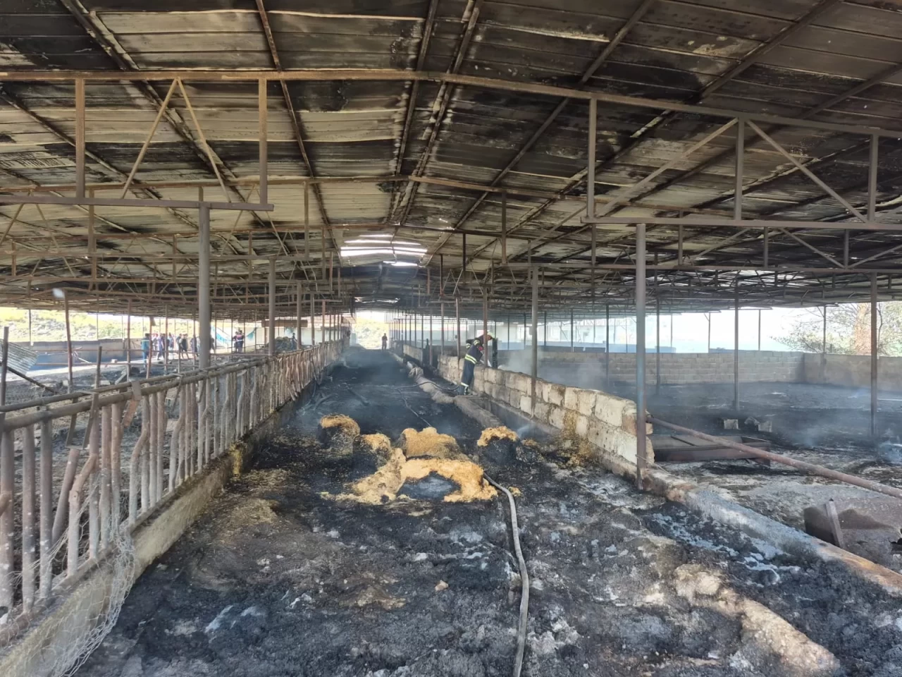 Adana’nın Ceyhan ilçesinde çıkan ahır yangınında 11 hayvan telef oldu