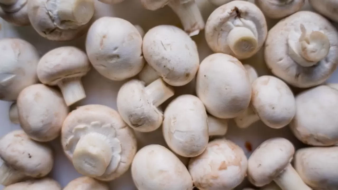 Mantar Tüketirken Neye Dikkat Etmeliyiz? Sağlıklı ve Güvenli Mantar Tüketimi İçin İpuçları