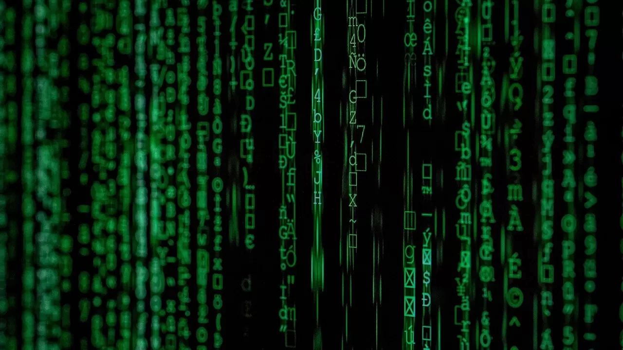 16 il merkezli siber suç operasyonu: 74 tutuklama