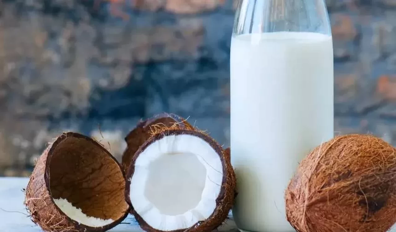Hindistan cevizi sütünün 10 faydası