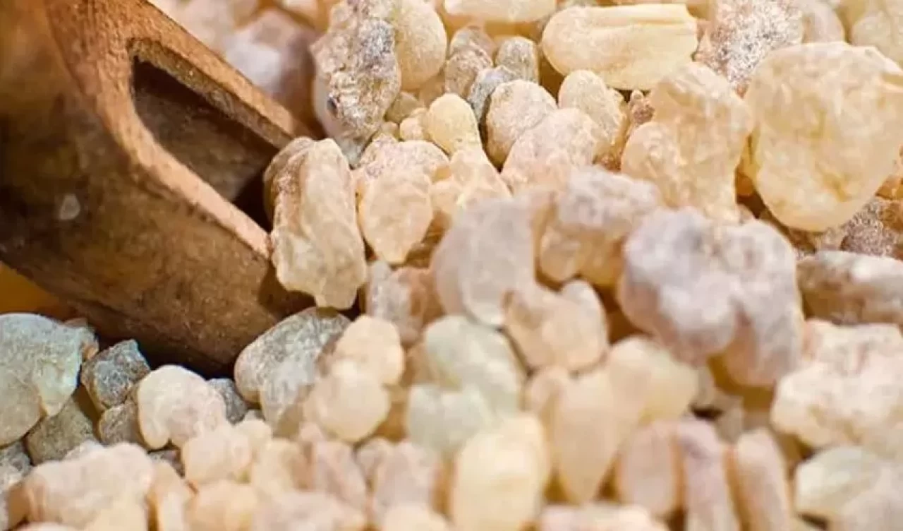 Zayıflama sürecinde sandaloz sakızı devrim yaratıyor