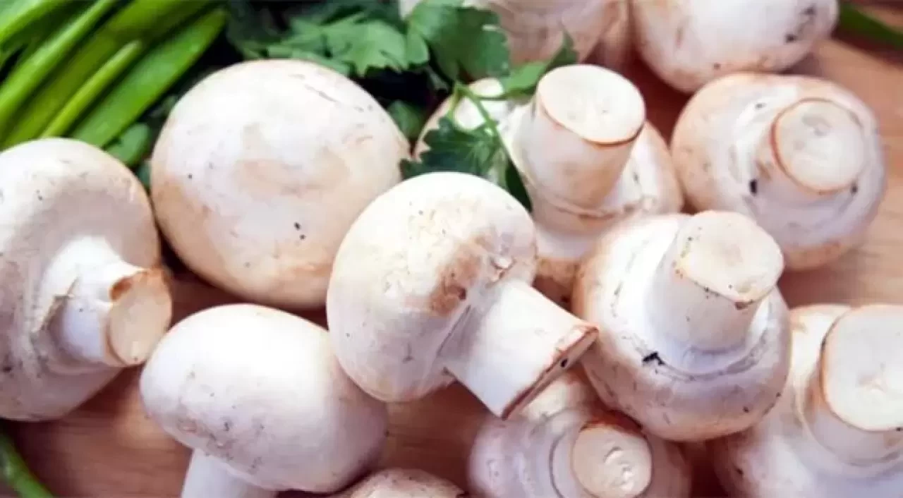 Mantarın Kararmasını Önlemenin Püf Noktaları! İşte Tazeliğini Korumanın Yolları