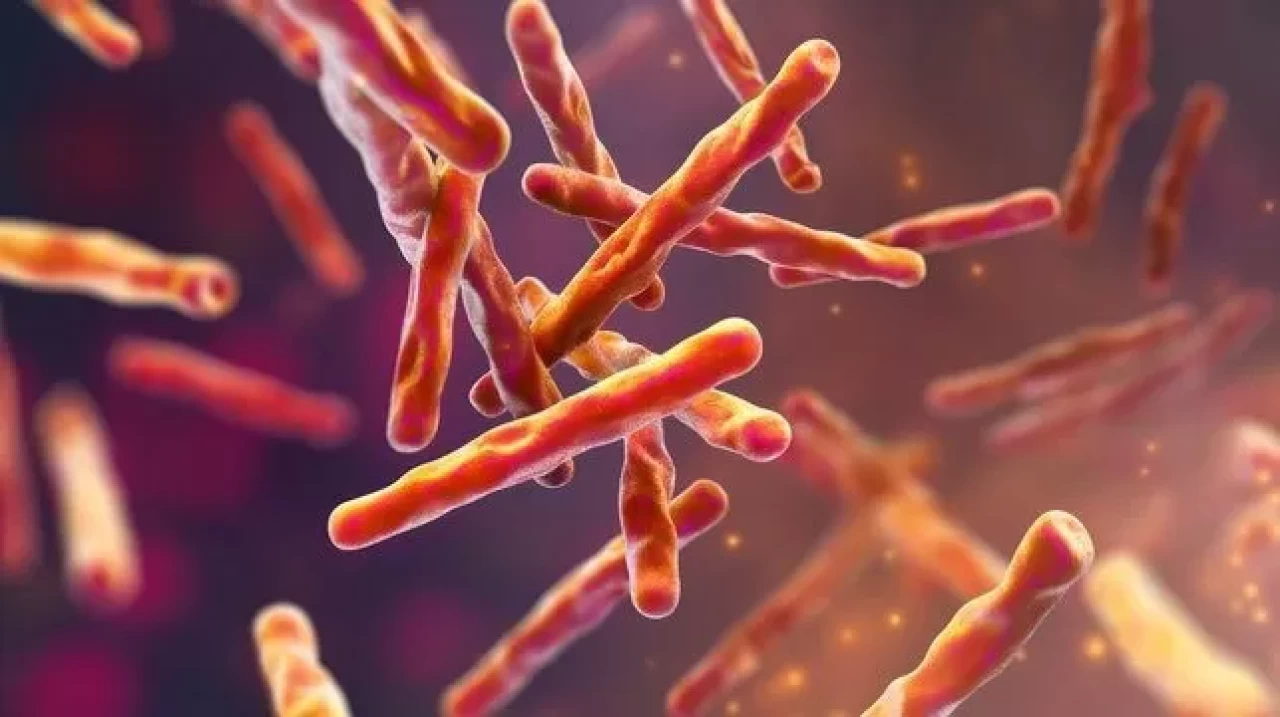 Okulda tüberküloz paniği! Gerekli önlemler alındı