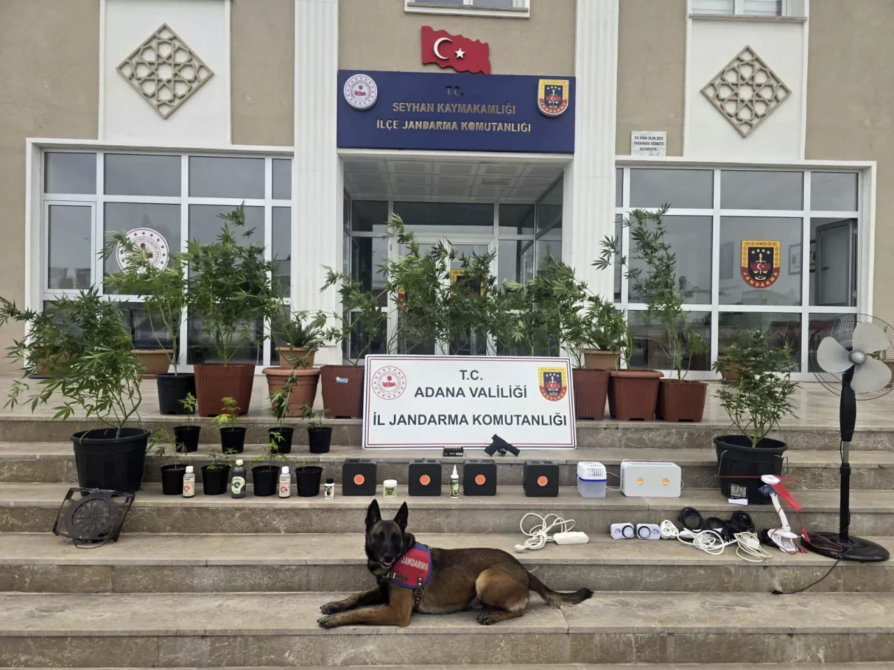 Adana'da kenevir yetiştiren 4 zanlı gözaltında