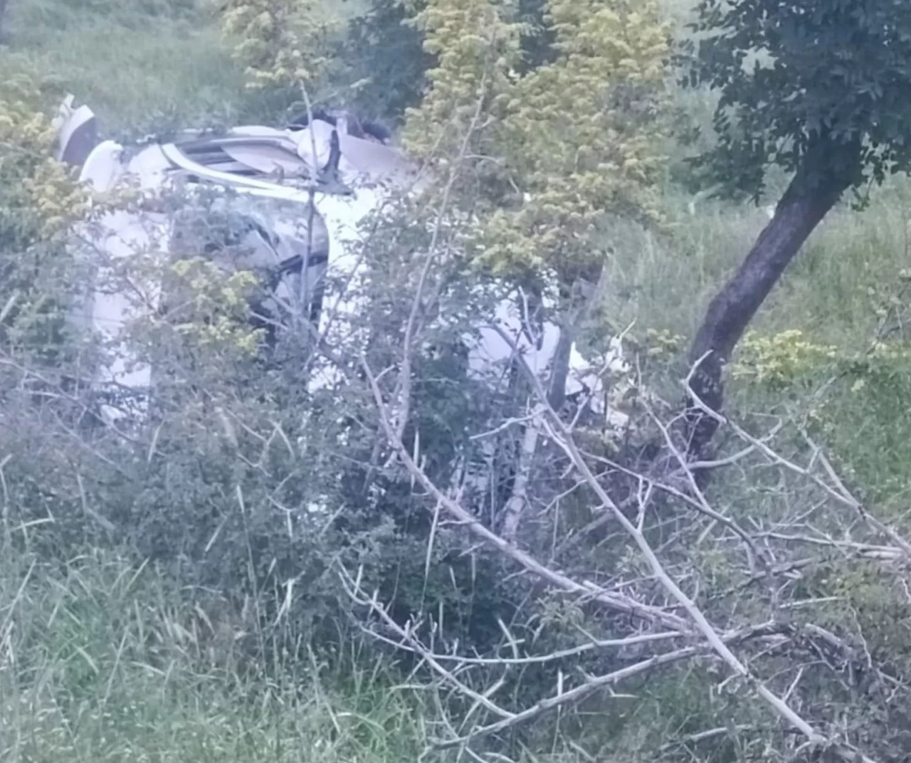 Siirt'te direksiyon hakimiyetini kaybedince kaza yaptı