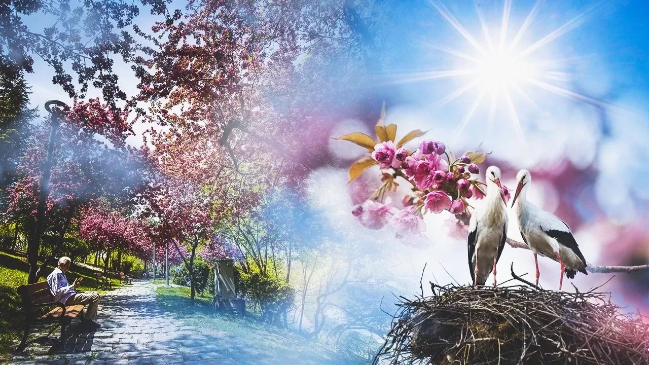 Yağışlı hava yerini güneşe bırakacak