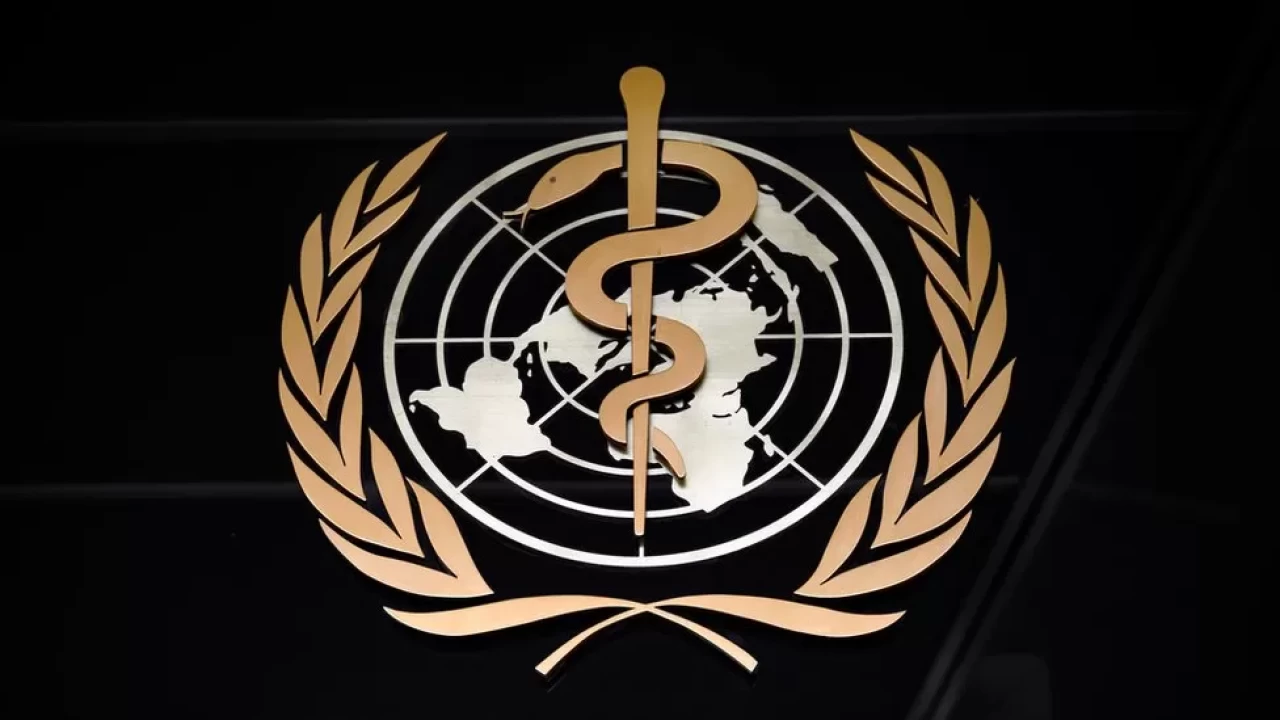 ABD ve Arjantin'den DSÖ'ye alternatif girişim