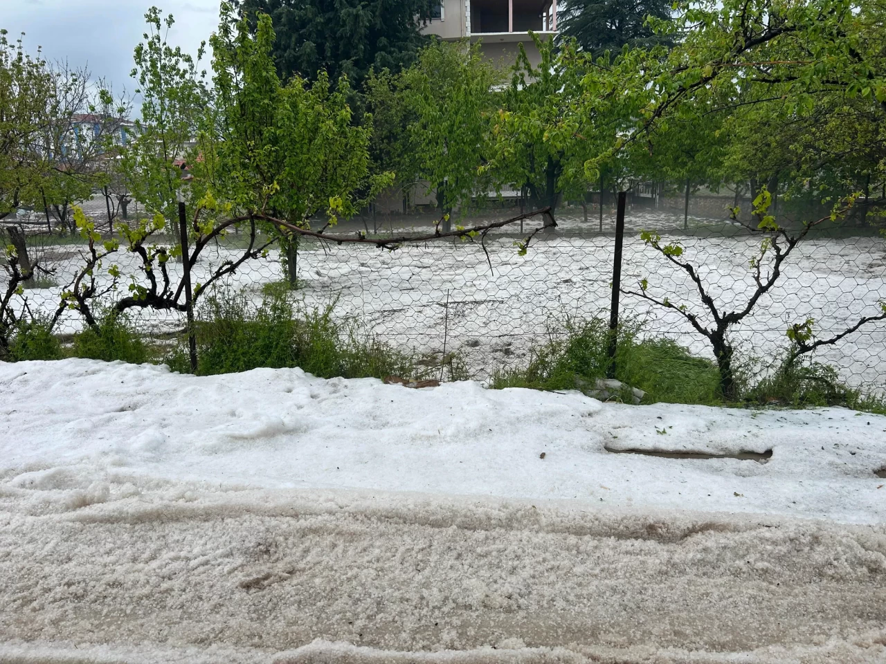 Uşak'ta sağanak ve dolu etkili oldu