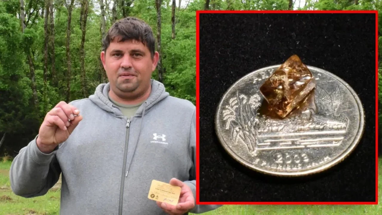 Çöp sandı elmas çıktı: ABD'de parkta sürpriz keşif