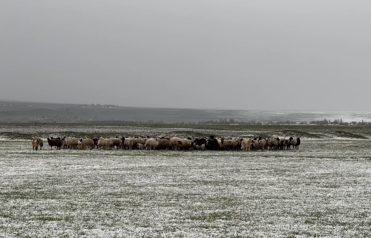 Kars'ta dolu ve sağanak etkili oldu