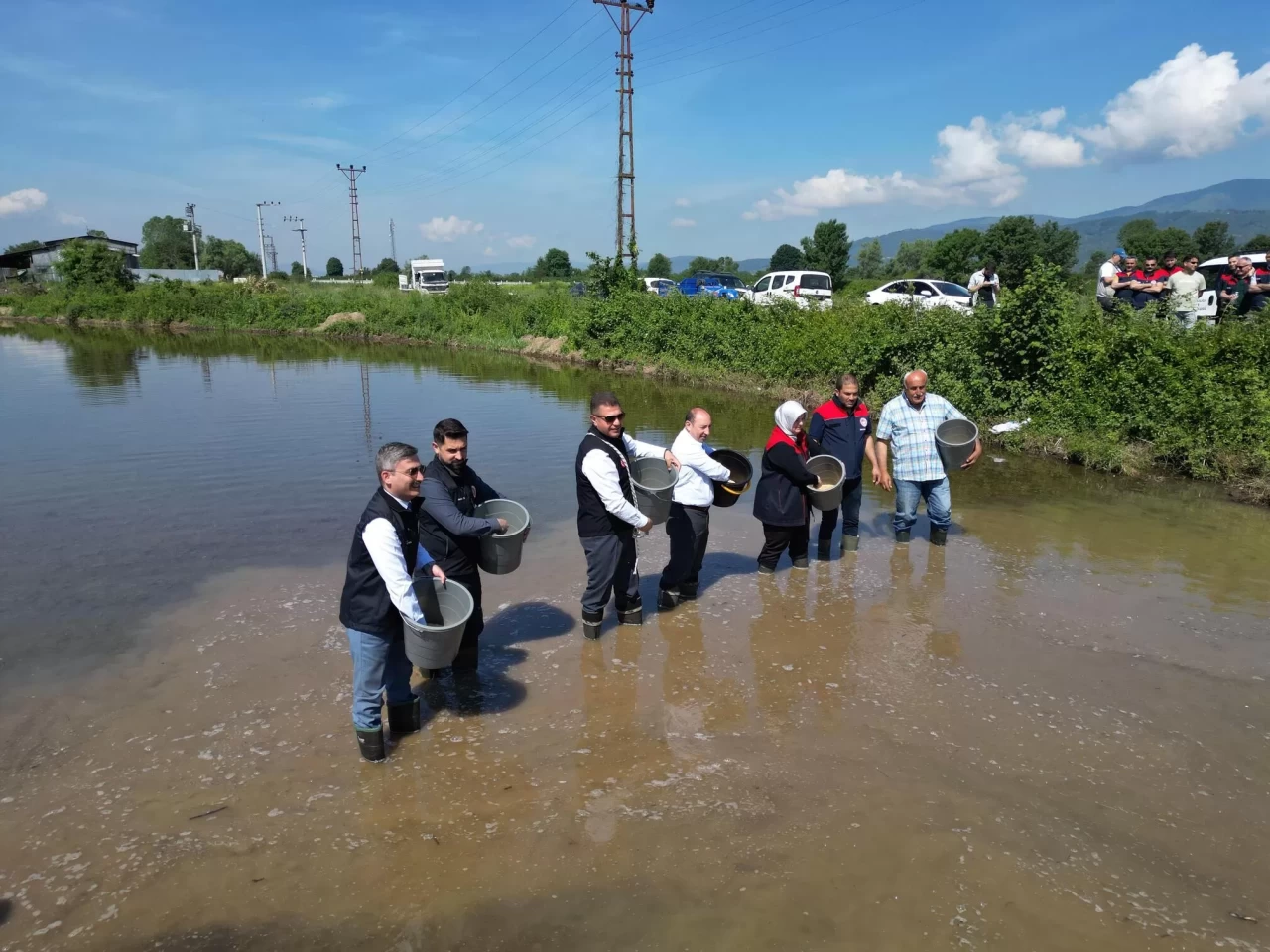Düzce'de coğrafi işaretli Konuralp pirincinin ekimi yapıldı