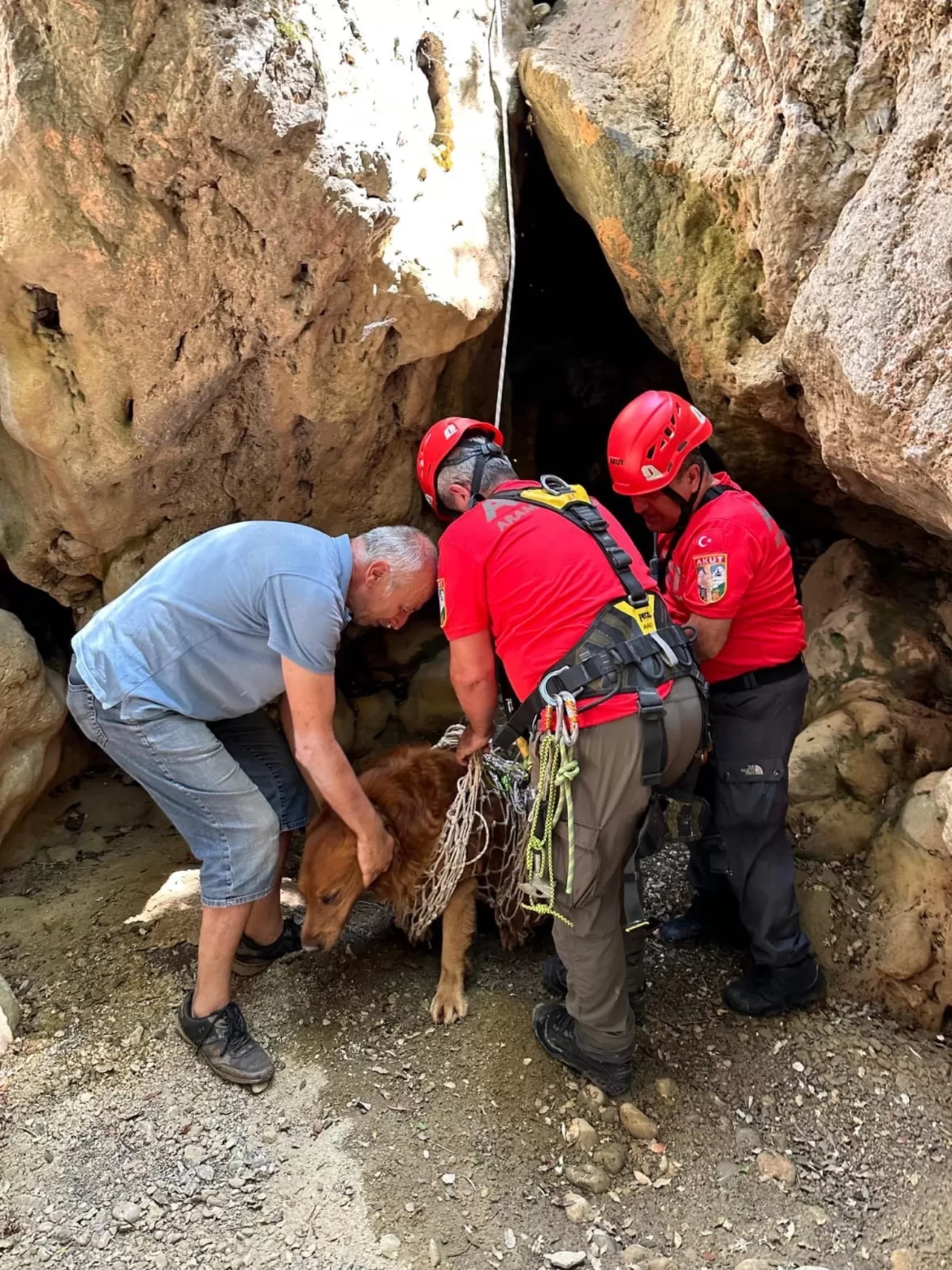 Dere yatağında mahsur kalan köpeği, AKUT ekibi kurtardı