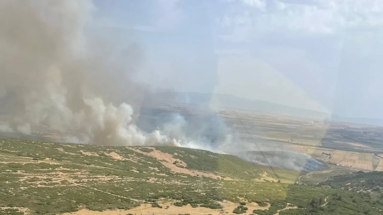İzmir Foça'da tarım arazisinde yangın çıktı