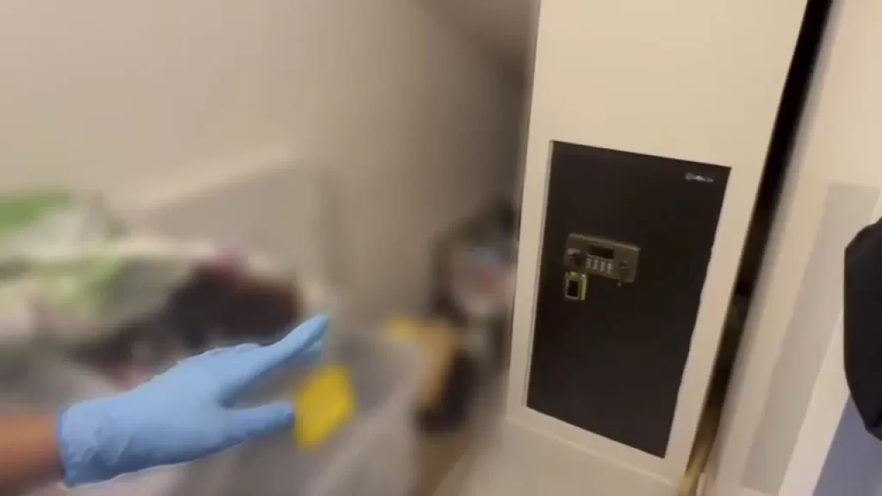 Aydın'da organize suç örgütü operasyonu: 20 kişi tutuklandı