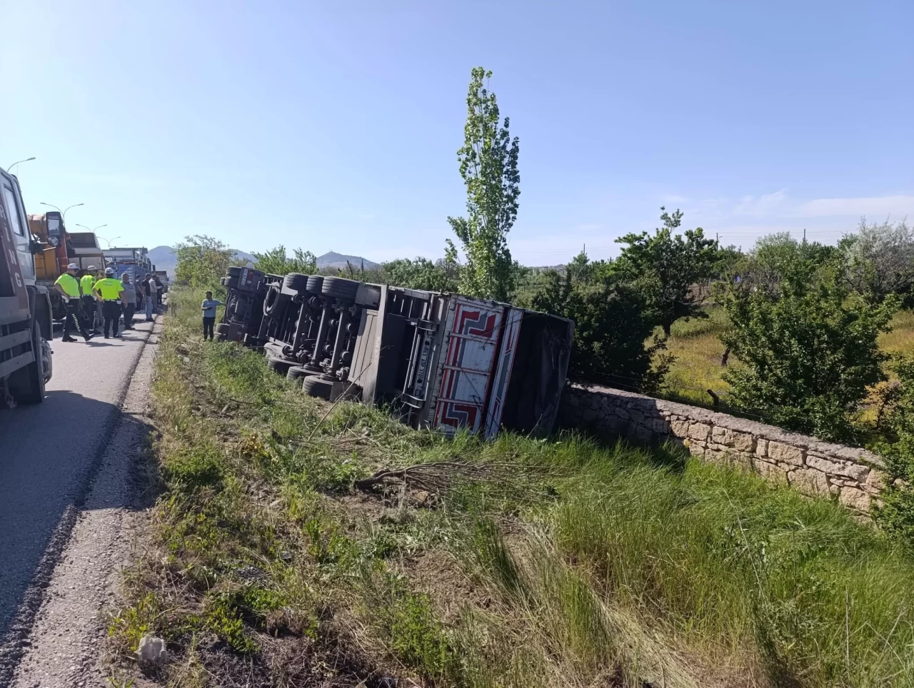 Afyonkarahisar'da angus taşıyan tır devrildi: Kaçan 2 angus için zabıta seferber