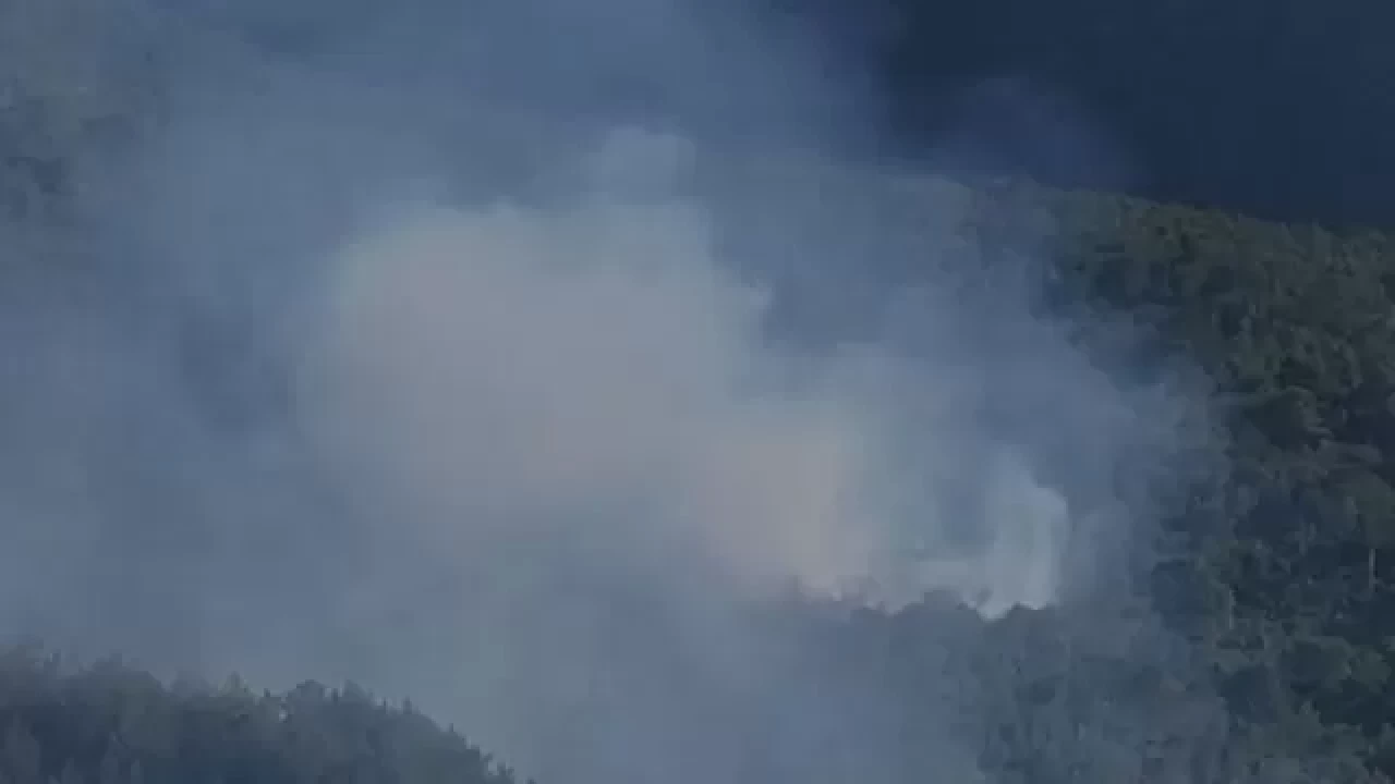 Hatay Arsuz’da orman yangını çıktı