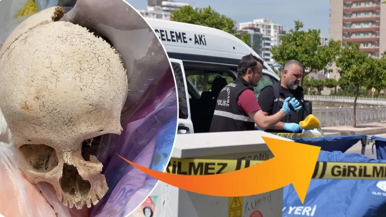Adana'da bir sitenin çöpünden kafatası çıktı: Bir çocuğa ait olduğu düşünülüyor