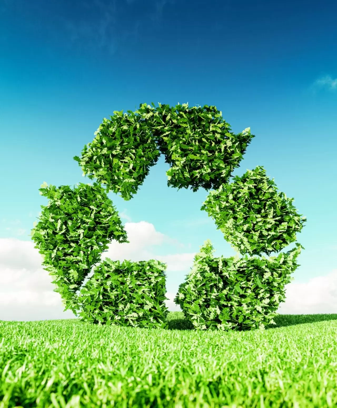 Evde sürdürülebilir yaşam için uygulayabileceğiniz 6 doğa dostu alışkanlık