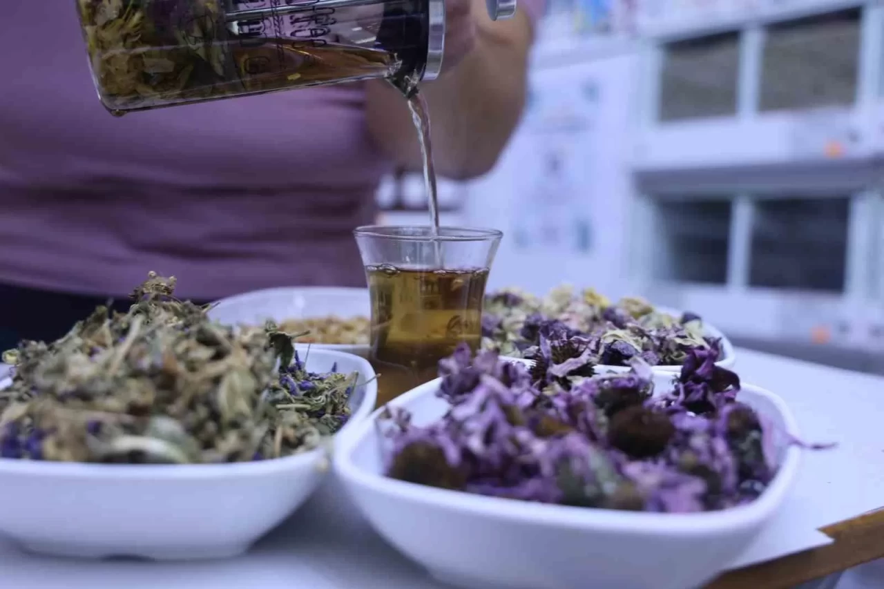 Amber çiçeği çay karışımı! Şifa dolu bitki mucizesi