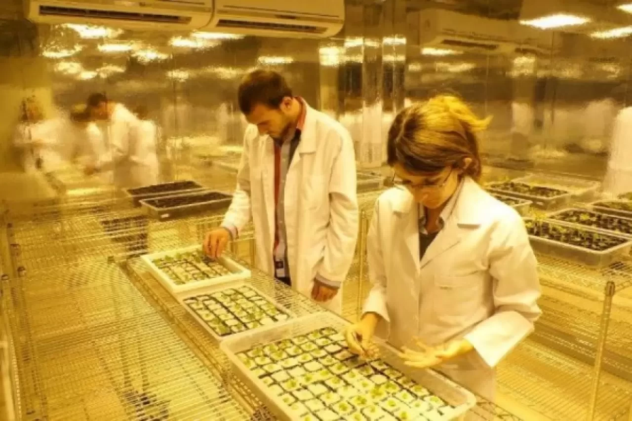 Bitkisel Üretim ve Teknolojileri Bölümü Nedir, Mezunları Ne İş Yapar ve Nerelerde Çalışır?