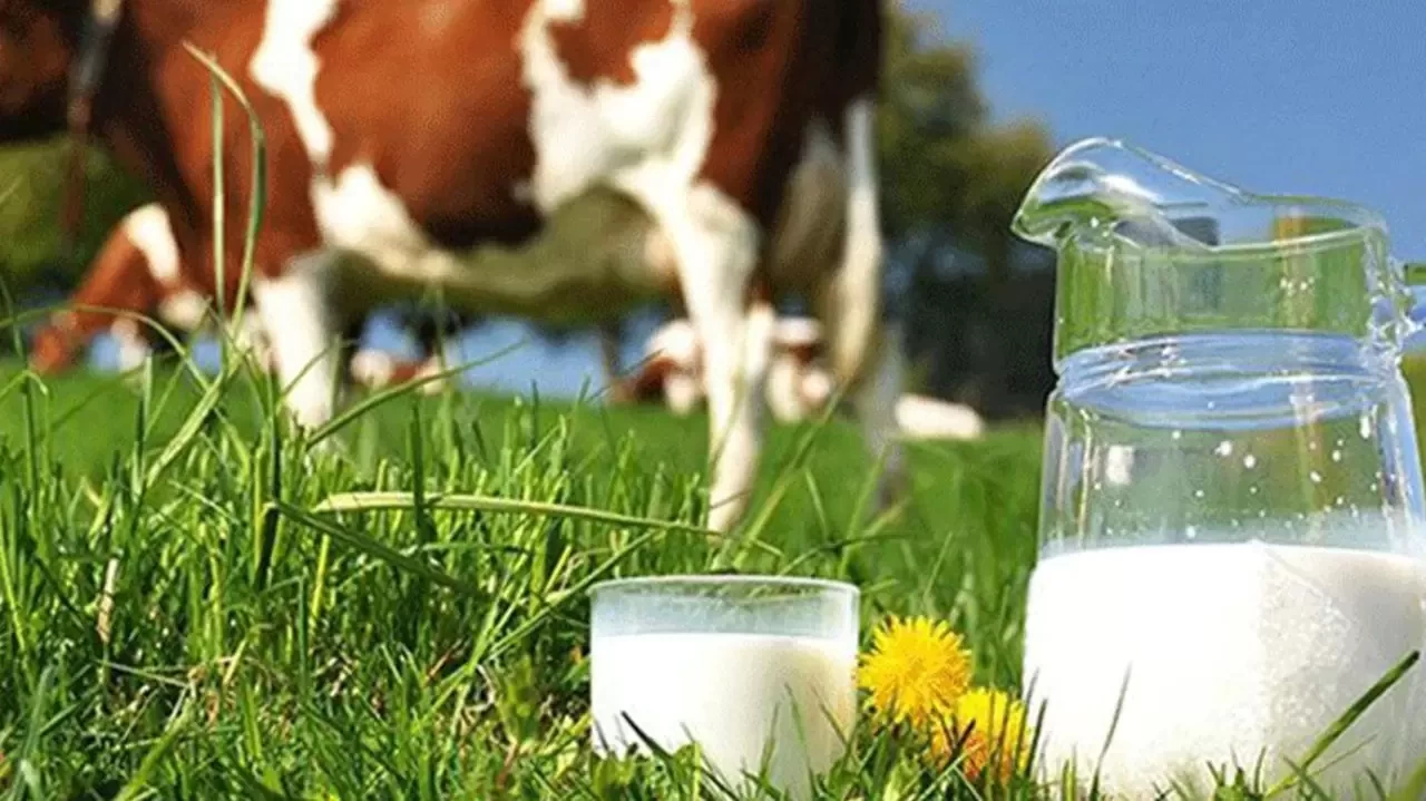 Türkiye'de çiğ süt üretimi 2024'te yüzde 4,7 arttı! Hedef 22,5 milyon ton!