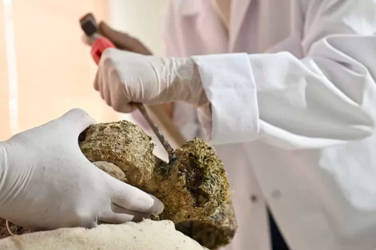 Gemi batığında 1100 yıllık kapağı açılmamış amfora bulundu